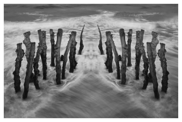 Créature marine